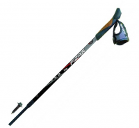 Dvoj-dielne palice pre nordic walking zn. Fizan SPEED čierno-šedé